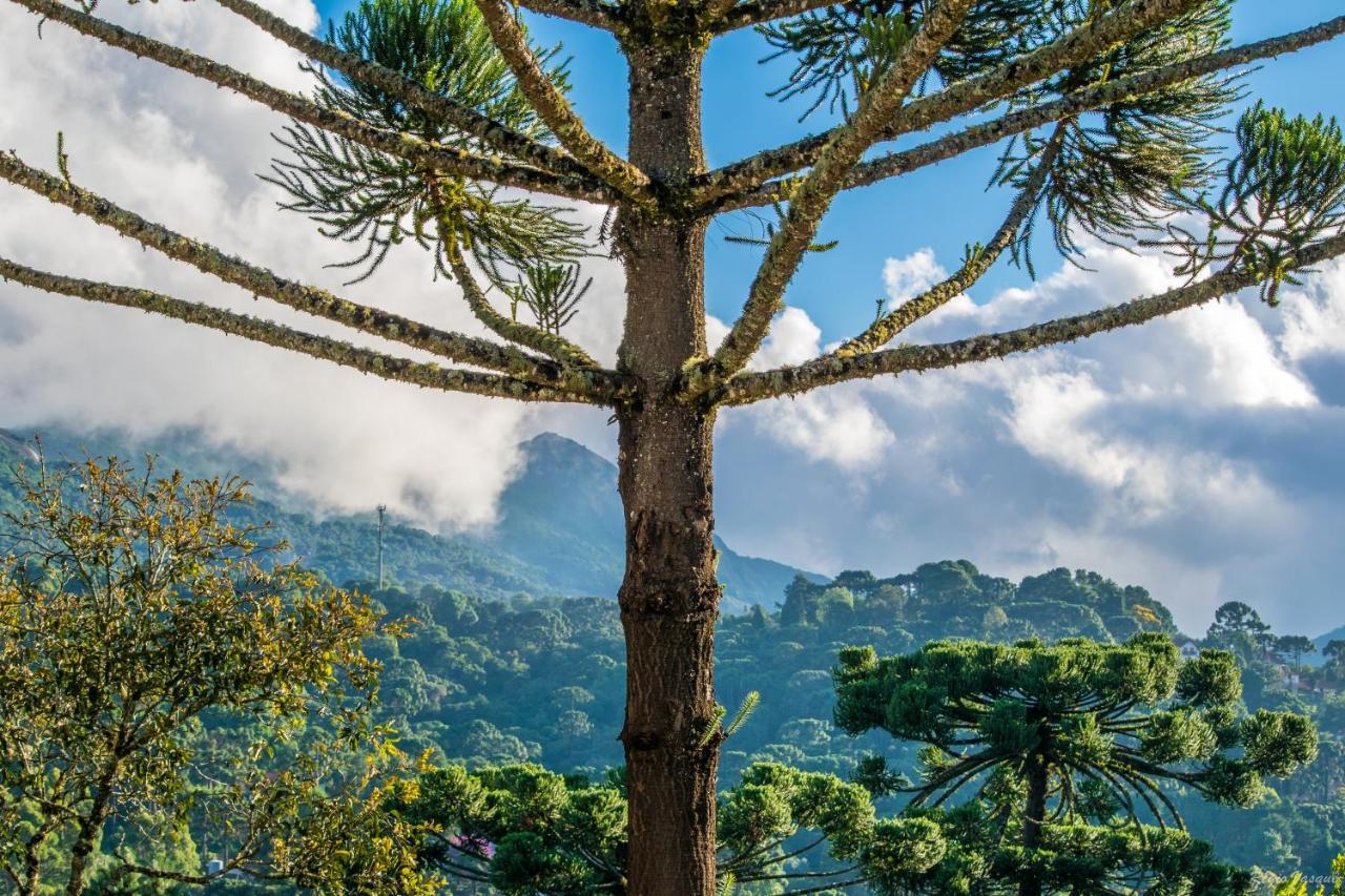 Pousada Ricanto Amore Mio Monte Verde  Exterior foto
