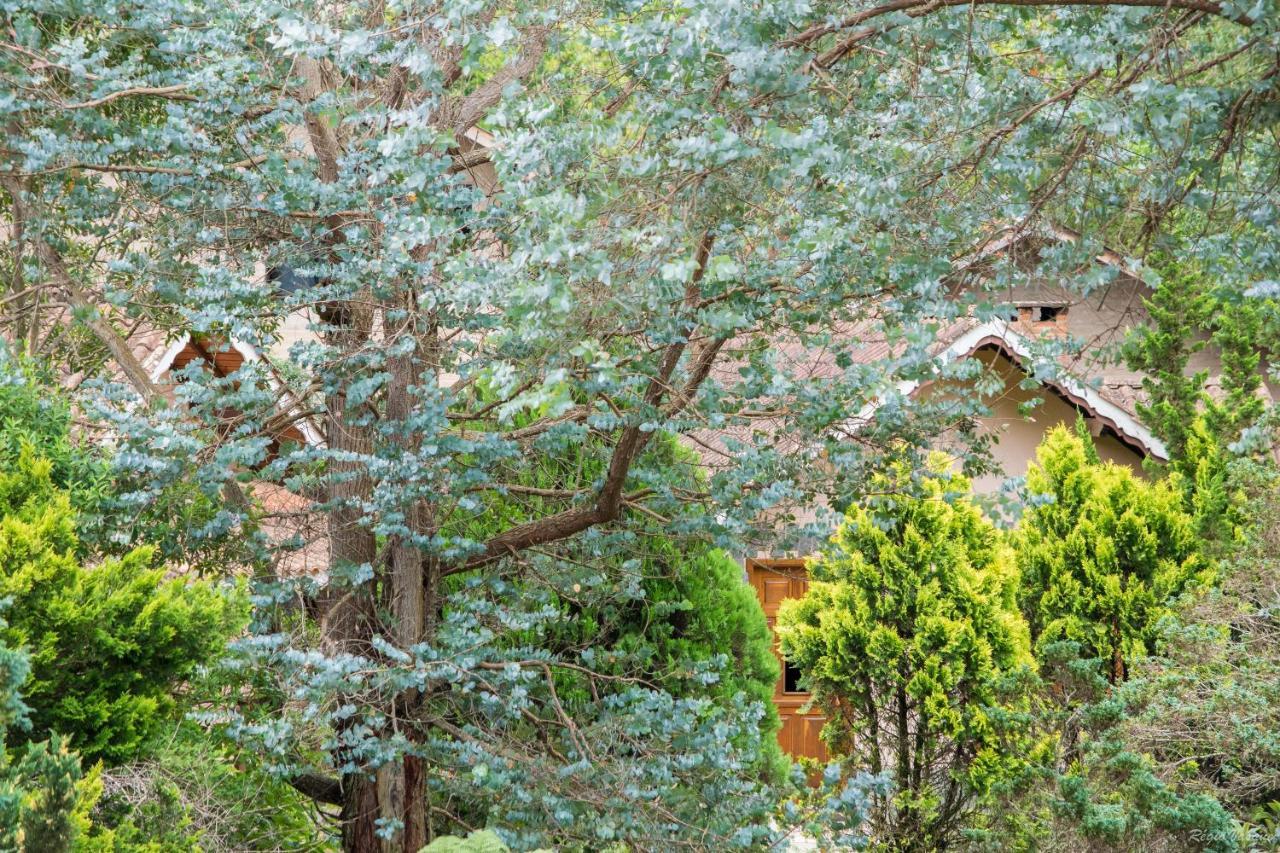 Pousada Ricanto Amore Mio Monte Verde  Exterior foto