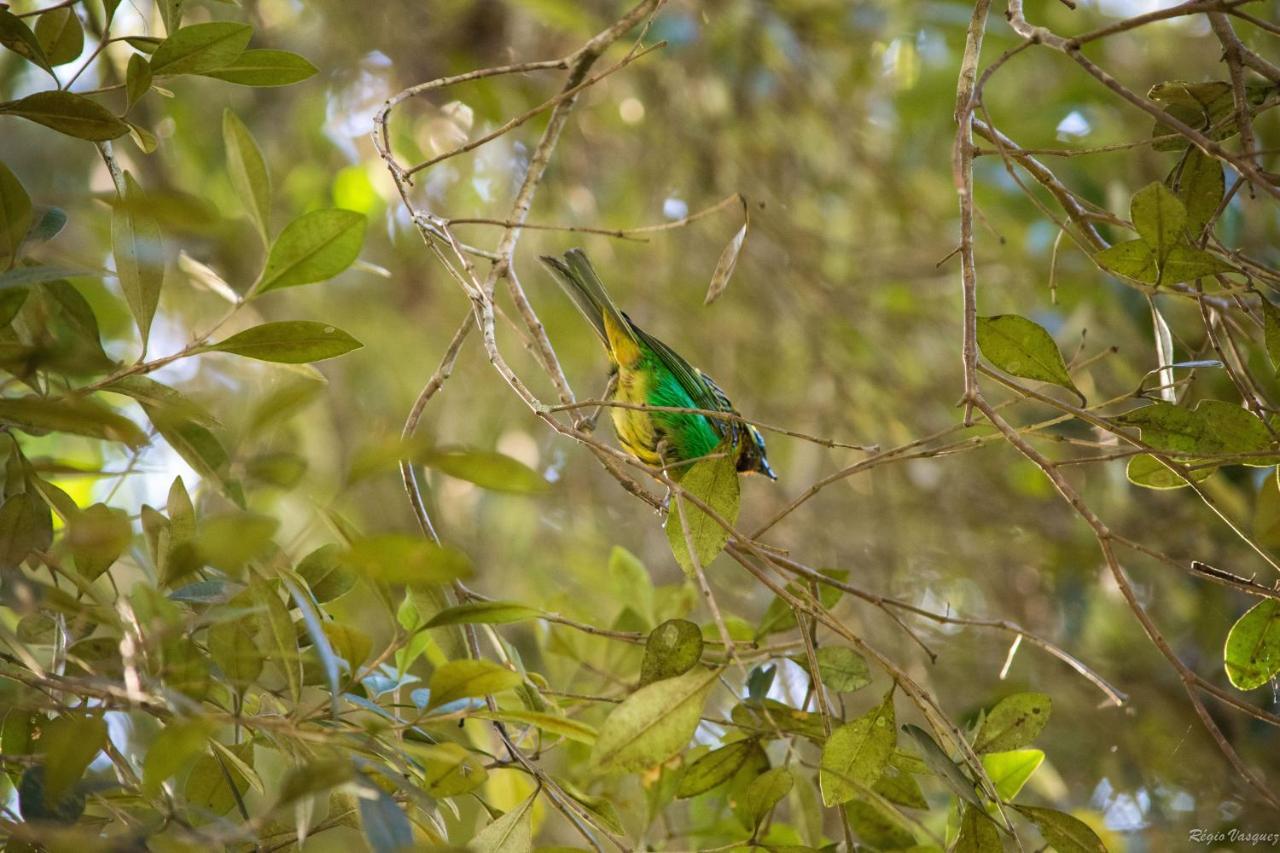 Pousada Ricanto Amore Mio Monte Verde  Exterior foto